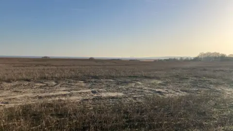 Vikki Irwin/BBC A view over an agricultural field during sunset. The sea is in the distance. 