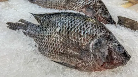 Getty Images A brown compact round fish lying on a bed of ice in a fishmonger's 