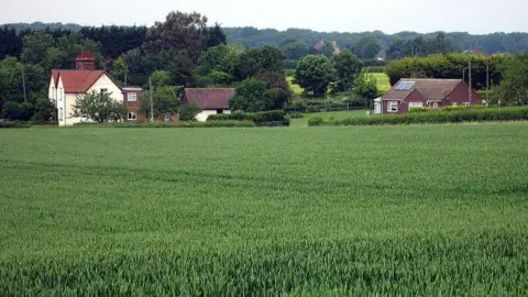 Philip Jeffrey/Geograph A green crop (alongside Limbersey Lane) with a bungalow and a two-storey house in the background. There are several trees around the houses.