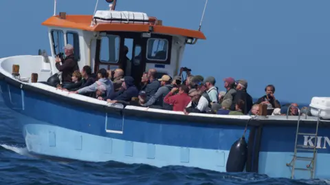 Andy Hall Booby bird spotters