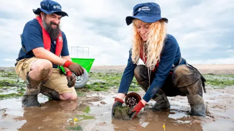 A man and a woman crouched down in mud by a river planting seagrass. The man has a dark-coloured beard. The woman has long blonde hair. Both are wearing blue shirts and hats. A green wheelbarrow stands behind them. The sky is cloudy.