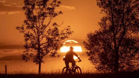 AndrewB A sunset with the silhouette of a person on a bike with trees beside them. The sky is completely orange.