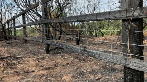 An area of burned earth with a burned fence in the foreground. There is more burned shrubbery behind.