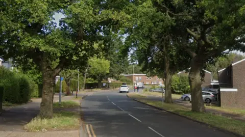 A residential street lined with large trees.