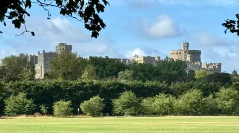 Windsor Castle appears from above a row of green trees in the foreground. The grey stone of the castle's turrets can be seen against a blue sky with fluffy white clouds. In the foreground of there is a mowed green field and the picture is framed by the branches of a tree.