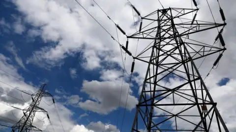 Lincolnshire being told to put up with new pylons - council boss