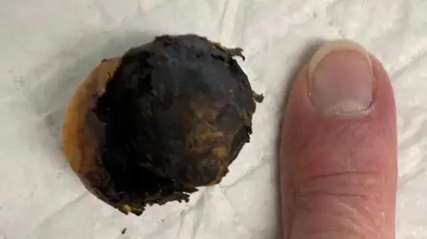 Wildlife Rescue - Moyles Court A large ball bearing is pictured close up. It is blackened and scuffed and difficult to identify. Someone has placed their finger next to it for scale. The ball bearing is roughly the size of the top section of the finger, from the final knuckle to the fingertip, but slightly wider.