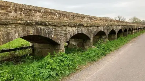 Emily Malcolm Causeway pictured with greenery