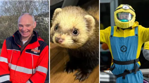 Three composite images side-by-side; an older man wearing a postal worker uniform, a brown furry ferret, and a man wearing a minion costume, a yellow onesie with blue denim overalls.