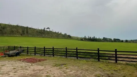 A general view of the field where the camping pods were planned