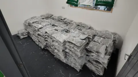 Greater Manchester Police A large pile of bags of cannabis are on the floor of an outbuilding. 