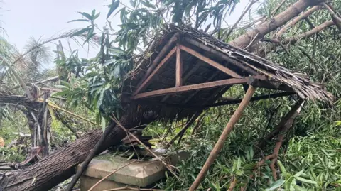 Durrell Image of a wooden pagoda-type building totally destroyed and surrounded by foliage and a fallen tree. 