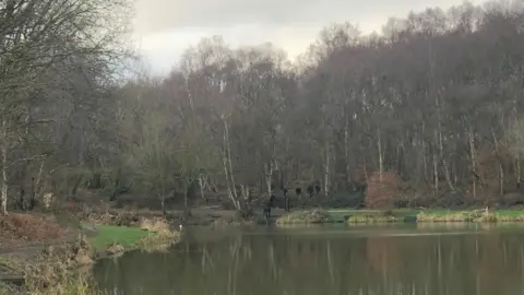Wombwell Lake in Wombwell Woods, South Yorkshire. Police wearing black search the lake on the far side.