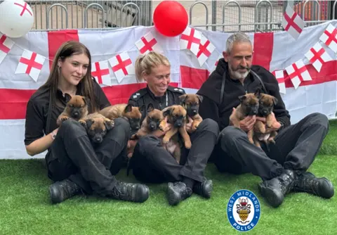 West Midlands Police Eight puppies are being held by three police officers. Two are female and one male are sitting in front of flags and balloons bearing the cross of St George. They each are wearing black uniforms and boots.