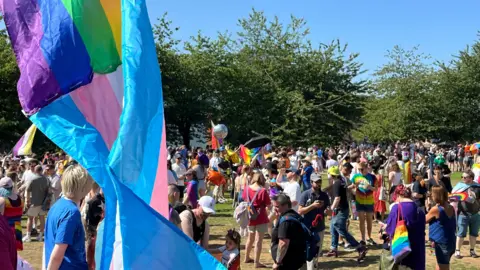 A large crowd in a park with rainbow flags and other accessories. A disco ball on a stick can be seen held up by one attendee