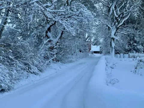 BBC Weather Watchers/paget Snow covers a road surrounded by trees with a snow-covered wall on one side.