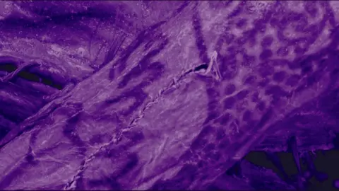 G Caspari and M Vavulin, a picture of an ice mummy examination. It has a purple color, and the woman's arm appears. On the skin there is a transformer pattern that shows lines and points. It also looks at the script of the skin of the burial.