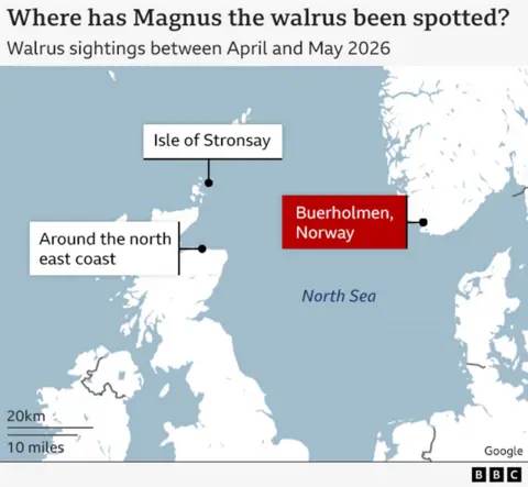 Map showing Stronsay in Orkney, north east coast of Scotland, North Sea, and Norway.