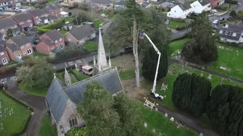 North Petherton Town Council Aerial shot of a tree being cut down.. It is surrounded by trees and in a cemetery with graveyards in the background. There are other tall trees and a church spire. 