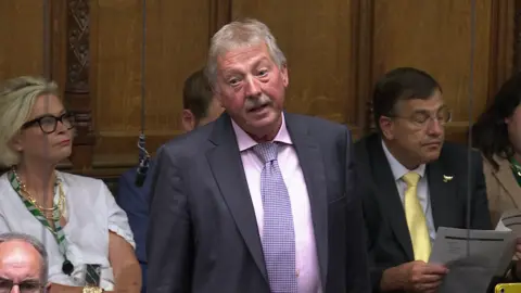 House of Commons DUP MP Sammy Wilson standing up in the House of Commons