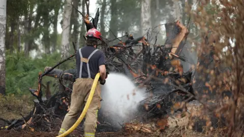A firefighter in a blue top and beige trousers and a red helmet, using a hose pipe to put the fire out, which has engulfed a tree.