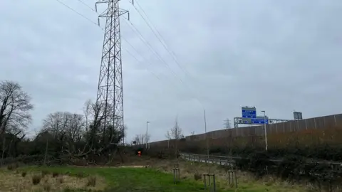 A picture of the pylon and a fallen tree, close to the motorway, with its blue sign visible.