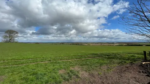 RWE  A big grassy field with a tree on the horizon 