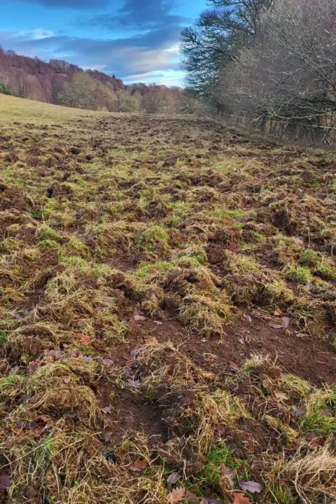 Catherine Mclennan Churned up field