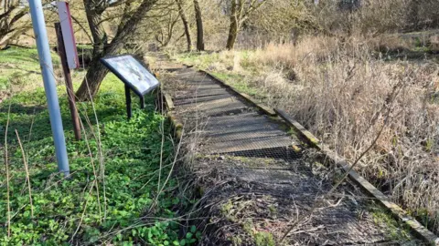 A wood has a boardwalk running through it, but it is in a poor state of repair, there is an information board to one side 