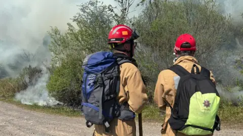 Two firefighters wearing red helmets and brown overalls watch on as smoke emerges from the ground and fills the air. The firefighters have their backs to the camera and are wearing backpacks. There is a large green shrub in front of them with smoke coming from it.