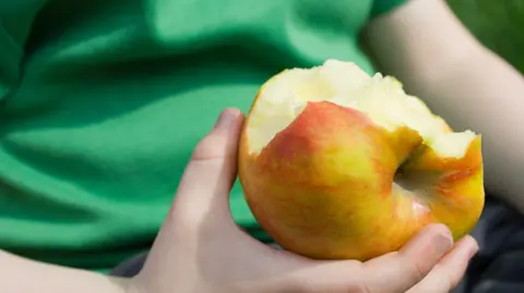 Connect Images Close up of a half eaten apple in a person's hand