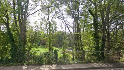 Google Maps The grassy park viewed from the road adjacent to it on a bright day. A skate bowl with a skater can be seen beyond the line of trees.