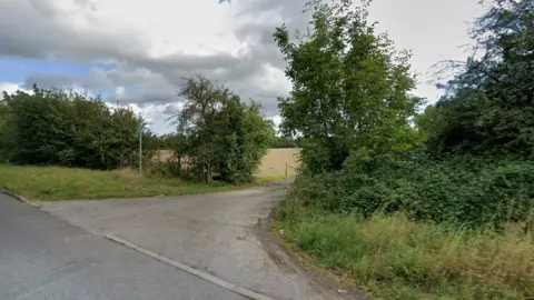 Google A Google Maps picture of bushes and trees bordering the site, being viewed from the New Bath Road in Twyford.