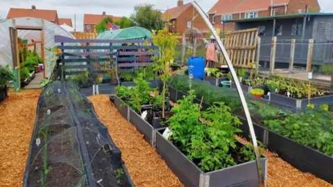 Andrea Bell A garden with lots of raised beds and vegetables