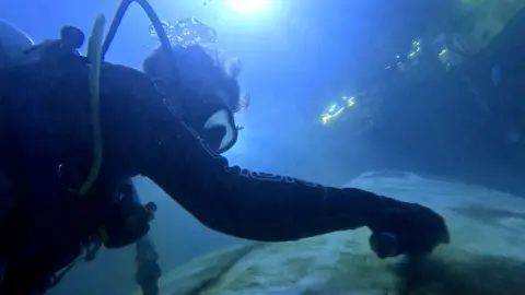 A diver under water at the National Marine Aquarium in Plymouth cleans a replica aircraft inside the site's shark tank. A bright light is above the water to help the person see where they're going. The plane has a lot of algae on it. 
