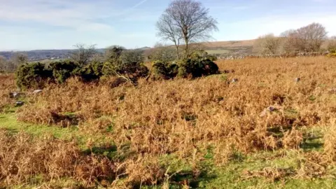 Open Spaces Society Blackdown Common