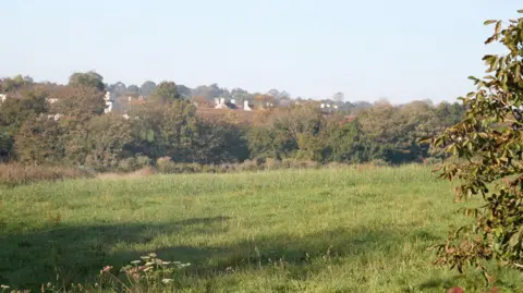 A green field surrounded by green trees. The sky is pale blue and hazy. The roofs and chimneys of homes are visible in the distance.