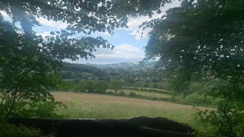 BBC Heavens Valley in Stroud, framed by trees and a fallen log on a summer's day. There is a sloping green field that slopes down, with more fields, trees and some houses seen in the distance.