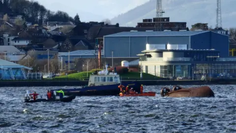 Christopher Brindle Salvage crews look for survivors after MV Biter capsized. Two boats are around the capsized vessel. 