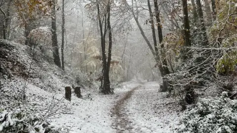 A view through the woods showing a snowy path with footprints in it. The trees either side of the path are covered in snow