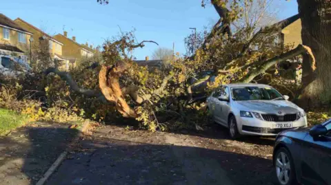 Somerset Council A tree that was blown over on a residential roads, on top of a car