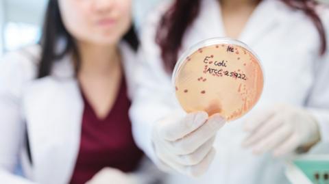 Scientists with petri dish