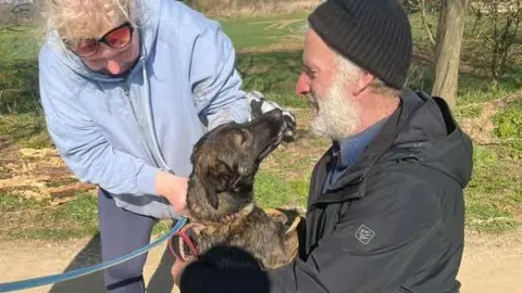 An elderley couple fuss and cuddle a German Shepherd dog