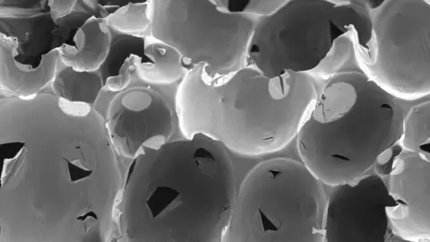 University of Nottingham The structure of meringue is seen under the electron microscope as a series of black and white circles