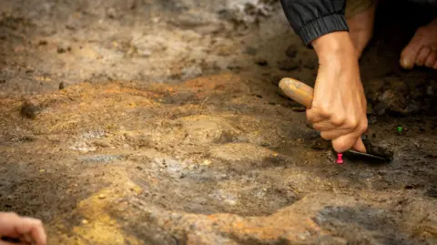 British Museum A close up of a person using a tool to dig into the ground at an excavation site. A small pink pin sits in the ground near where they are digging. 