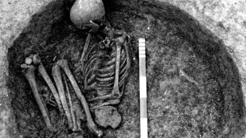 Skeleton remains with ruler next to it in the foetal position in the ground. The picture is black and white.