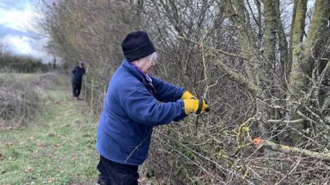 Emma Baugh/BBC Two volunteers working along a hedgerow. In the foreground is a woman in a blue fleece with a black beanie. She is leaving over a wire fence with her yellow gloved hands towards a tree within the hedgerow, possibly pruning it. Behind her is a man in the distance also leaning into the hedgerow. 