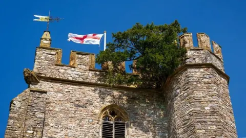 Lee Cooper/Woodland Trust A tree on top of a castle. A flag of England flies next to it.