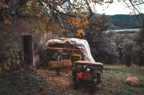 Martha Padovani A husbandman  moves a bail of hay