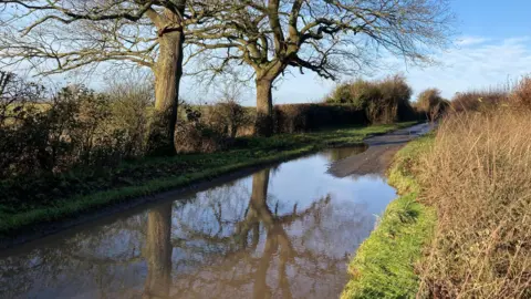 A country road that is partially flooded. There are hedges on either side. Two trees with bare branches stand on the far side of the road and they are reflected in the water. The sky over head is blue.